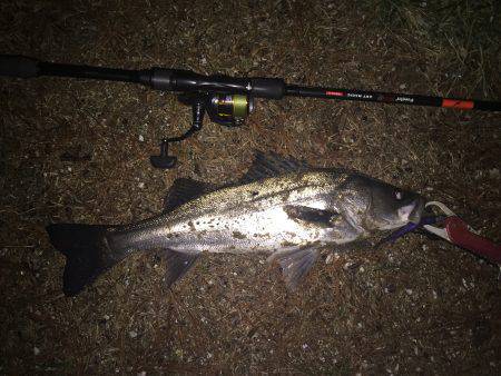 酷寒ウェーディングでなんとか１本